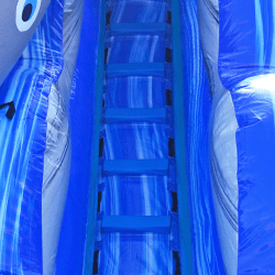 IMG 1315 1760062679 20ft Dolphin