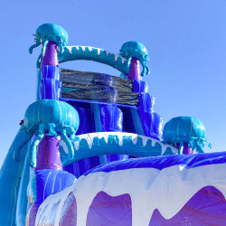 IMG 1318 1760062788 20ft Jelly fish